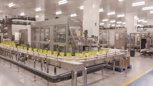 聯合利華全國首個全品類食品工廠投產，智能制造與供應鏈協同樹立新標桿