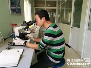正典球苗技術服務團隊 專業(yè)力量走出國門，賦能全球客戶養(yǎng)殖新高度